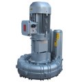 Воздуходувка FPZ K06-TS-GVR-5.50 Flex-coupling Vertical IE2